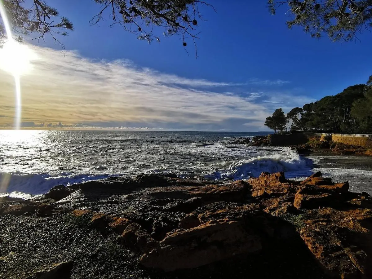 Tres Belle T2, Vue Mer ,Le Tout A Pied Saint-Raphael